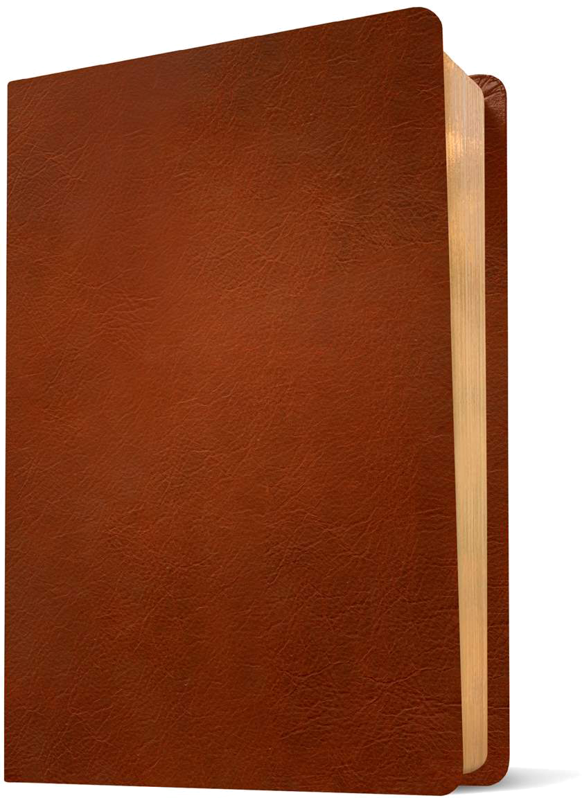 Cover of The One Year Bible by Tyndale House Publishers