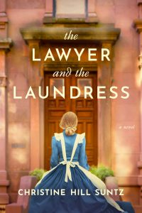 The Lawyer and the Laundress by Christine Hill Suntz