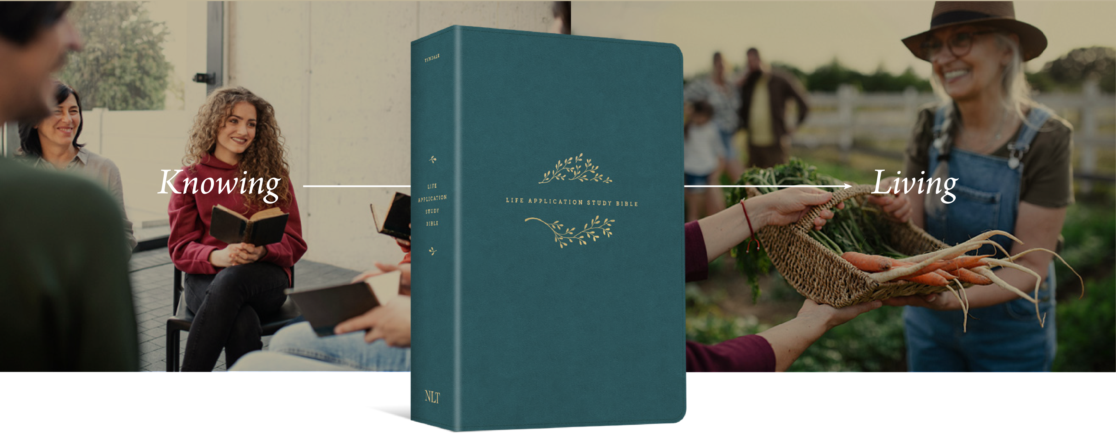 Life Application Study Bible Hero Image