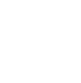 NLT Study Bible logo