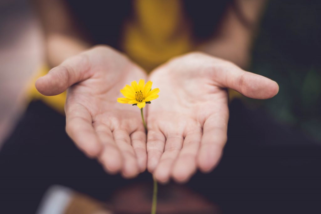 Is there anything God is not willing to forgive? A woman's hands lay open with a yellow flower in between them. Is there anything God is not willing to forgive? A woman's hands lay open with a yellow flower in between them.